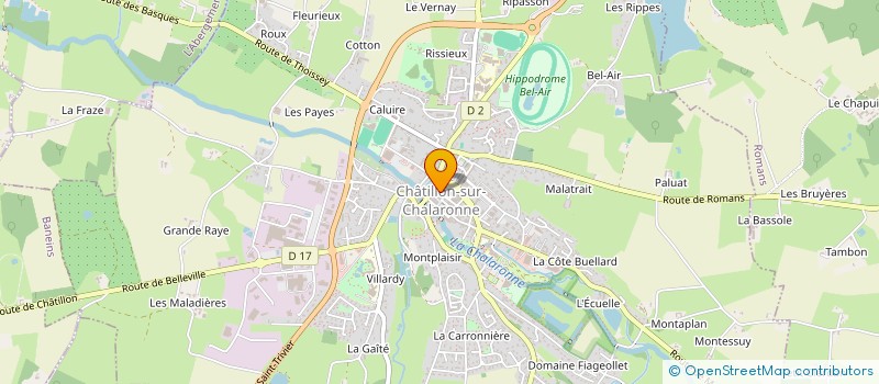 localisation de l'entreprise MADAME ALEXANDRINE BONAL à CHATILLON-SUR-CHALARONNE