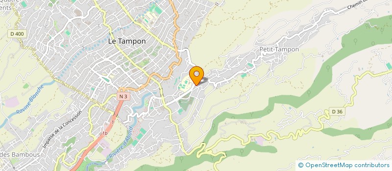localisation de l'entreprise MADAME ALEXANDRINE DIJOUX  LE TAMPON
