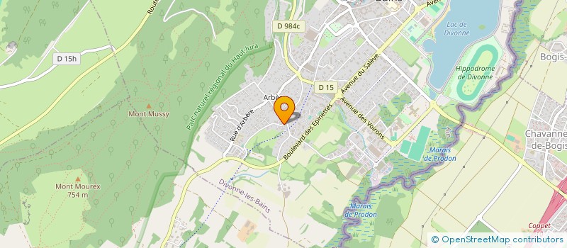 localisation de l'entreprise MADAME ALEXANDRINE STEHELIN à DIVONNE-LES-BAINS