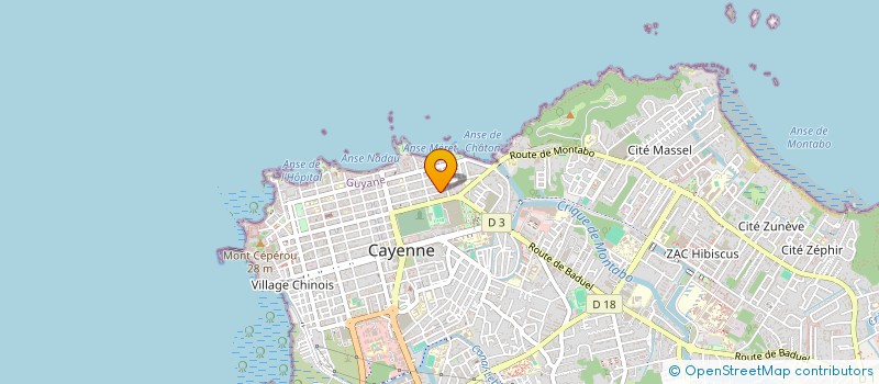 localisation de l'entreprise MADAME ALEXIA ANICET  CAYENNE