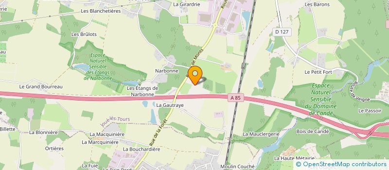 localisation de l'entreprise MADAME ALEXIA CHOISNE  JOUE-LES-TOURS