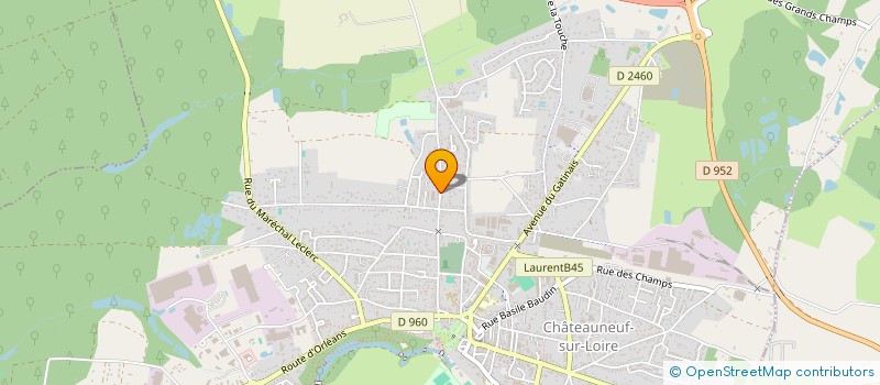 localisation de l'entreprise MADAME ALEXIA DIDIER à CHATEAUNEUF-SUR-LOIRE