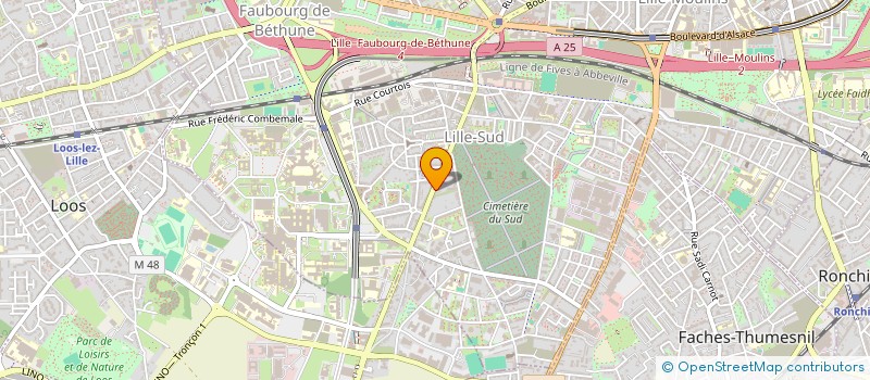 localisation de l'entreprise MADAME ALEXIA DUMOULIN  LILLE