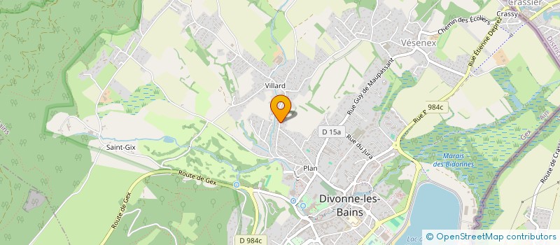 localisation de l'entreprise MADAME ALEXIA DUPIN  DIVONNE-LES-BAINS