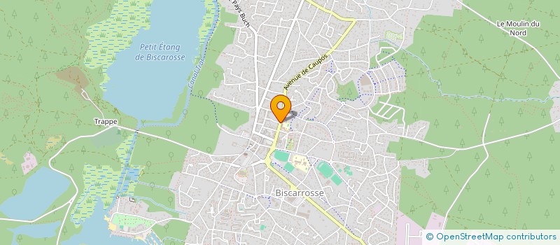 localisation de l'entreprise MADAME ALEXIA MAUVAIS  BISCARROSSE