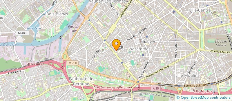 localisation de l'entreprise MADAME ALEXIA VANDEWYNCKEL à LILLE