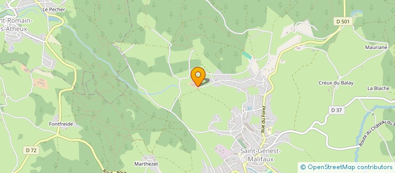 localisation de l'entreprise MADAME ALEXIANE CLUZEL  SAINT-GENEST-MALIFAUX