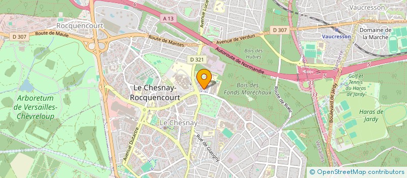 localisation de l'entreprise MADAME ALEXYA HOLTZ  LE CHESNAY-ROCQUENCOURT