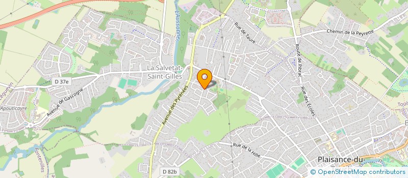 localisation de l'entreprise MADAME ALEYNA OMURCA  LA SALVETAT-SAINT-GILLES