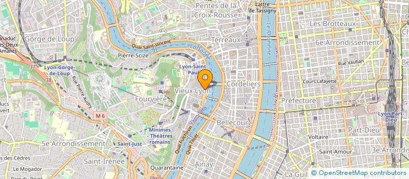 localisation de l'entreprise MADAME ALICE ADENIS à LYON