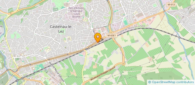 localisation de l'entreprise MADAME ALICE ASTORI  CASTELNAU-LE-LEZ