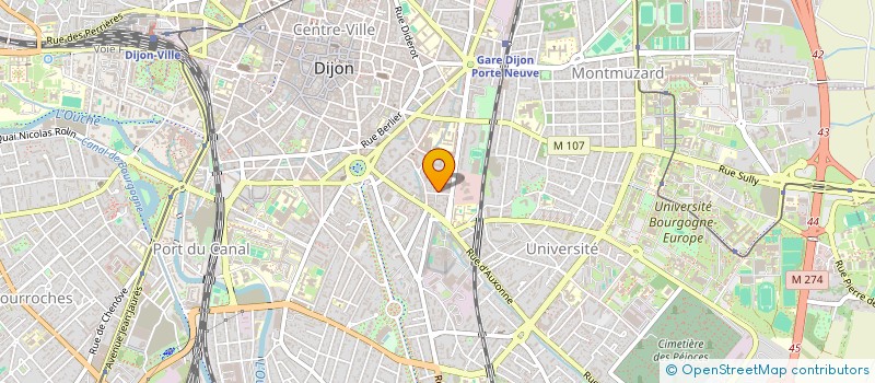 localisation de l'entreprise MADAME ALICE BARON à DIJON