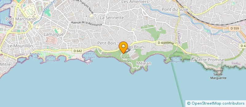 localisation de l'entreprise MADAME ALICE CHOURGNOZ  TOULON