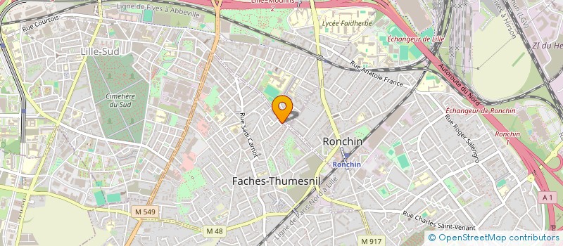 localisation de l'entreprise MADAME ALICE COELHO  FACHES-THUMESNIL