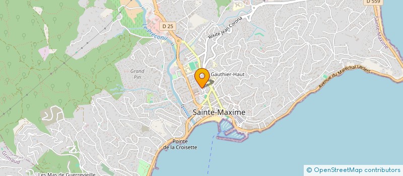 localisation de l'entreprise MADAME ALICE DARMON  SAINTE-MAXIME