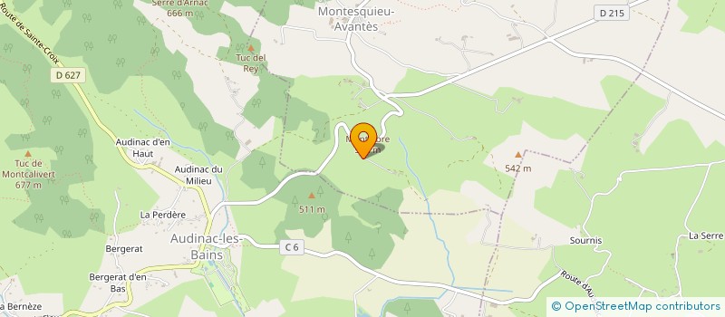 localisation de l'entreprise MADAME ALICE DENIS à MONTESQUIEU-AVANTES