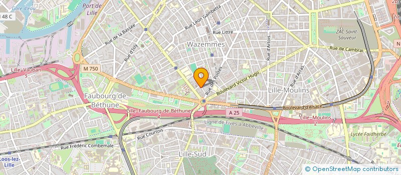 localisation de l'entreprise MADAME ALICE HEREN  LILLE