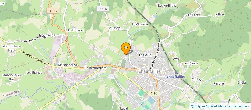 localisation de l'entreprise MADAME ALICE MILLET  SAINT-DENIS-LES-BOURG