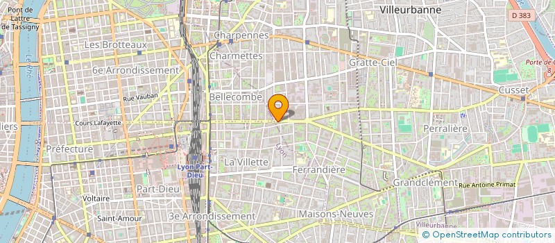 localisation de l'entreprise MADAME ALICE NICAULT  VILLEURBANNE