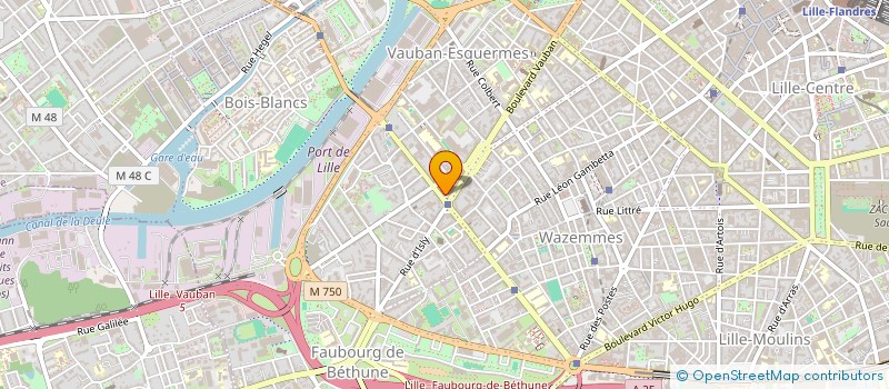 localisation de l'entreprise MADAME ALICE NICOLAS à LILLE