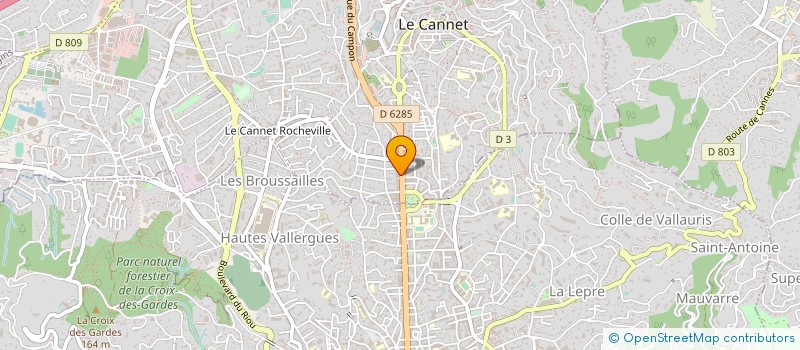 localisation de l'entreprise MADAME ALICE TANASIEVA à LE CANNET