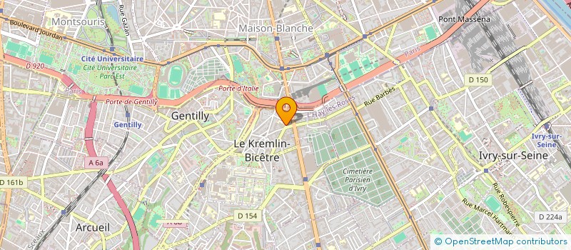 localisation de l'entreprise MADAME ALICE TIEZZI  SAINT-MANDE