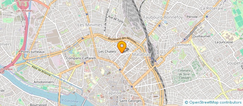 localisation de l'entreprise MADAME ALICE UBIERGO  TOULOUSE