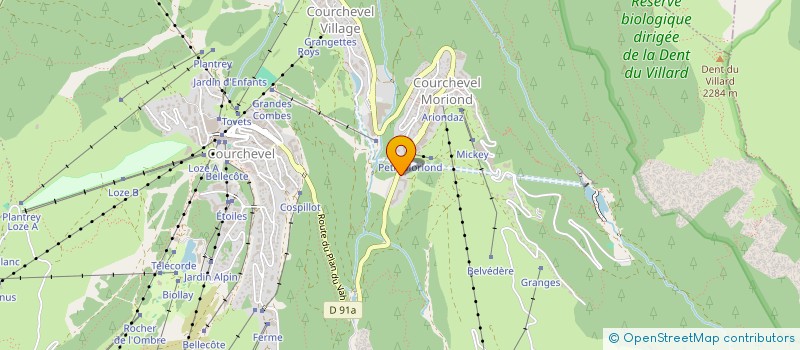 localisation de l'entreprise MADAME ALICE WOODCOCK à COURCHEVEL