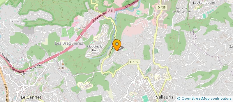 localisation de l'entreprise MADAME ALICIA ALONSO  VALLAURIS