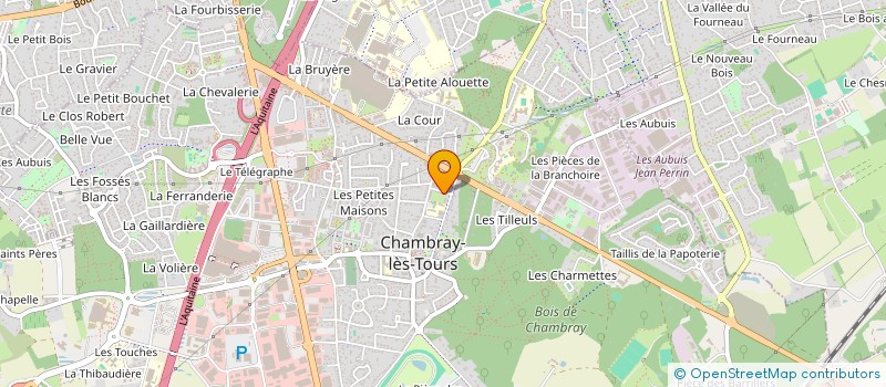 localisation de l'entreprise MADAME ALICIA GESLAIN  CHAMBRAY-LES-TOURS