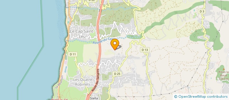 localisation de l'entreprise MADAME ALICIA POMARES à SAINT-LEU