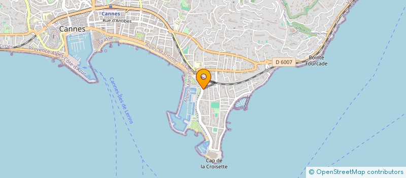 localisation de l'entreprise MADAME ALICIA SVENSSON  CANNES