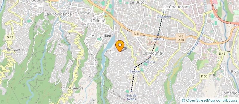 localisation de l'entreprise MADAME ALICIA VALENTIN  SAINT-DENIS