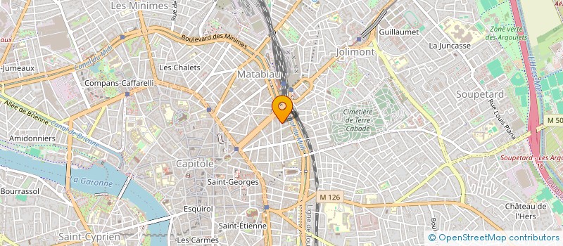 localisation de l'entreprise MADAME ALIENOR LE BLAY  TOULOUSE