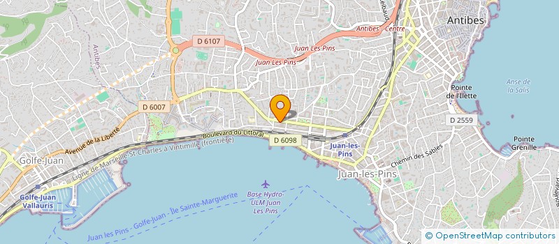 localisation de l'entreprise MADAME ALINA KRASNOZHON à ANTIBES