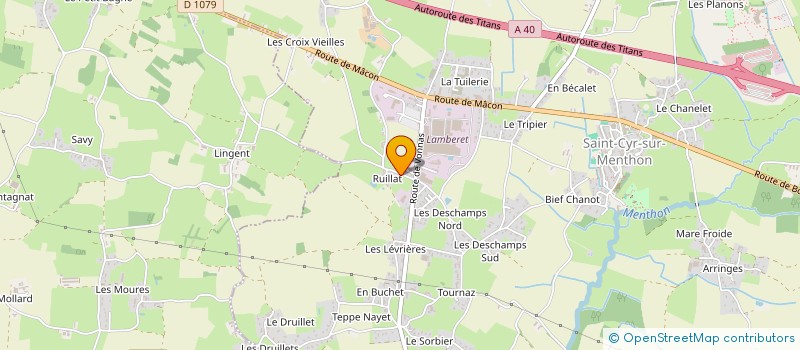 localisation de l'entreprise MADAME ALINE DIOCHON  SAINT-CYR-SUR-MENTHON