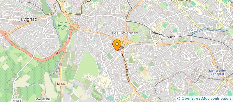 localisation de l'entreprise MADAME ALINE ENOUMIE à MONTPELLIER