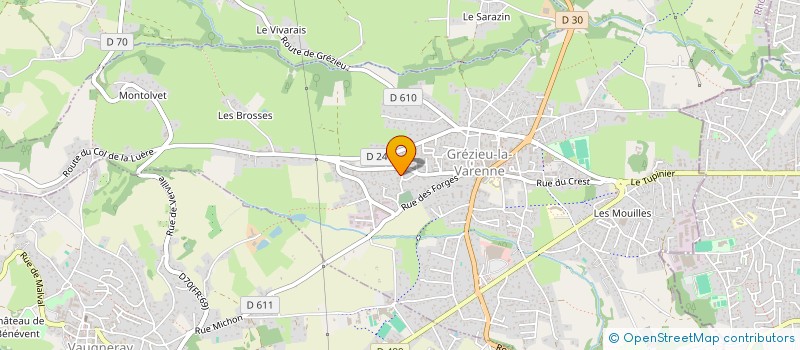 localisation de l'entreprise MADAME ALINE RAYMOND  GREZIEU-LA-VARENNE