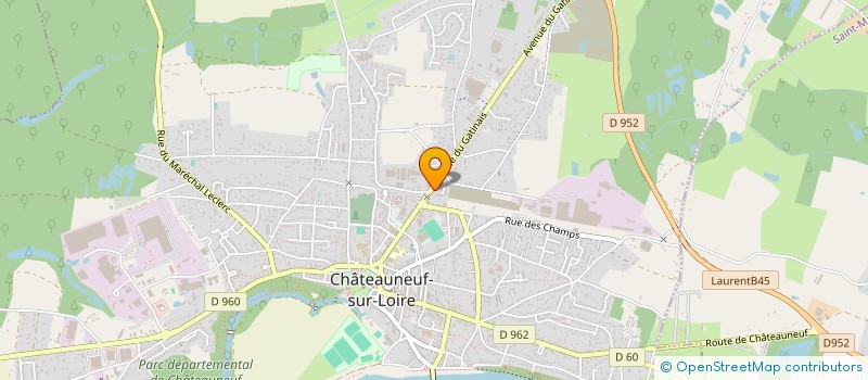 localisation de l'entreprise MADAME ALINE RIANT  CHATEAUNEUF-SUR-LOIRE