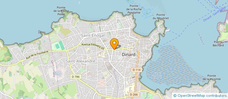 localisation de l'entreprise MADAME ALINE THOMAS  DINARD