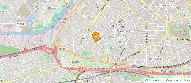 localisation de l'entreprise MADAME ALINE THUILLIER à LILLE