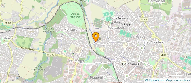 localisation de l'entreprise MADAME ALISA ILYINA à COLOMIERS