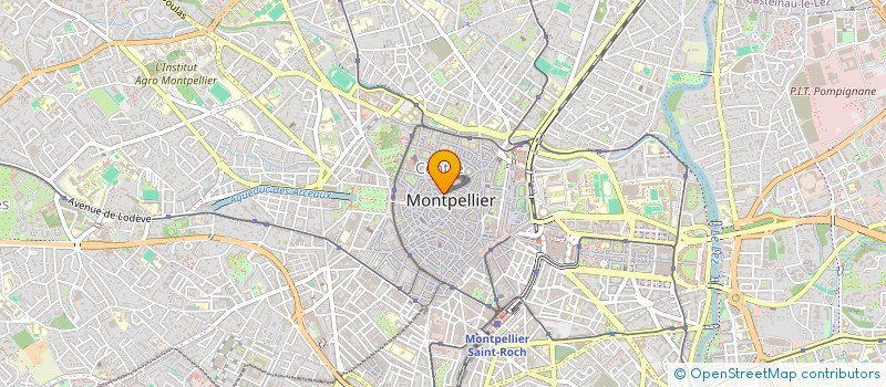 localisation de l'entreprise MADAME ALISEA DELPECH à MONTPELLIER