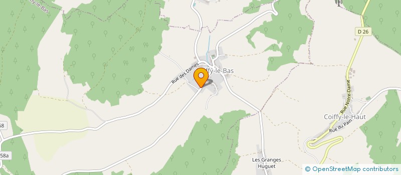 localisation de l'entreprise MADAME ALISON BLIN à COIFFY-LE-BAS