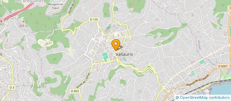 localisation de l'entreprise MADAME ALISON FERNANDES RIBEIRO à VALLAURIS