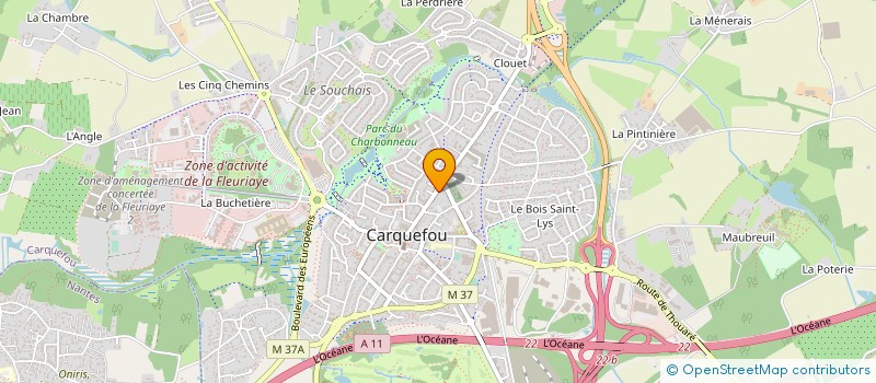 localisation de l'entreprise MADAME ALIZE RIO  CARQUEFOU