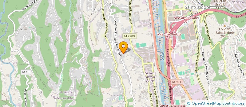 localisation de l'entreprise MADAME ALIZEE BORELLA  SAINT-LAURENT-DU-VAR