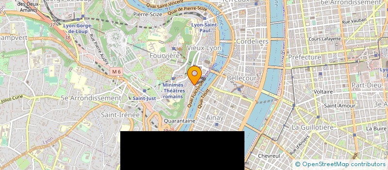 localisation de l'entreprise MADAME ALIZEE DAL MAS  LYON