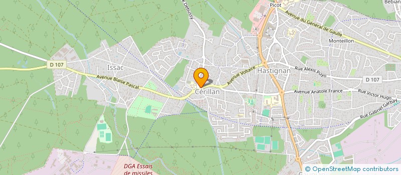 localisation de l'entreprise MADAME ALIZEE FRANCOIS  SAINT-MEDARD-EN-JALLES