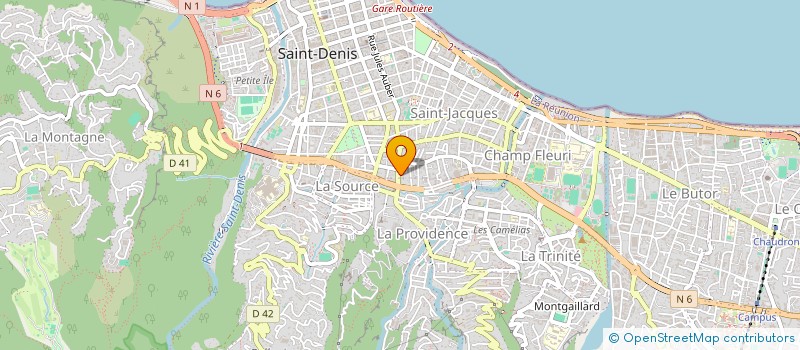localisation de l'entreprise MADAME ALIZEE RAYEROUX à SAINT-DENIS
